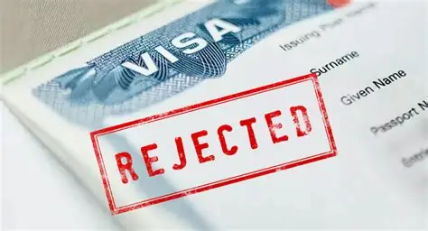 My Vietnam E-Visa was Rejected: What to Do Next