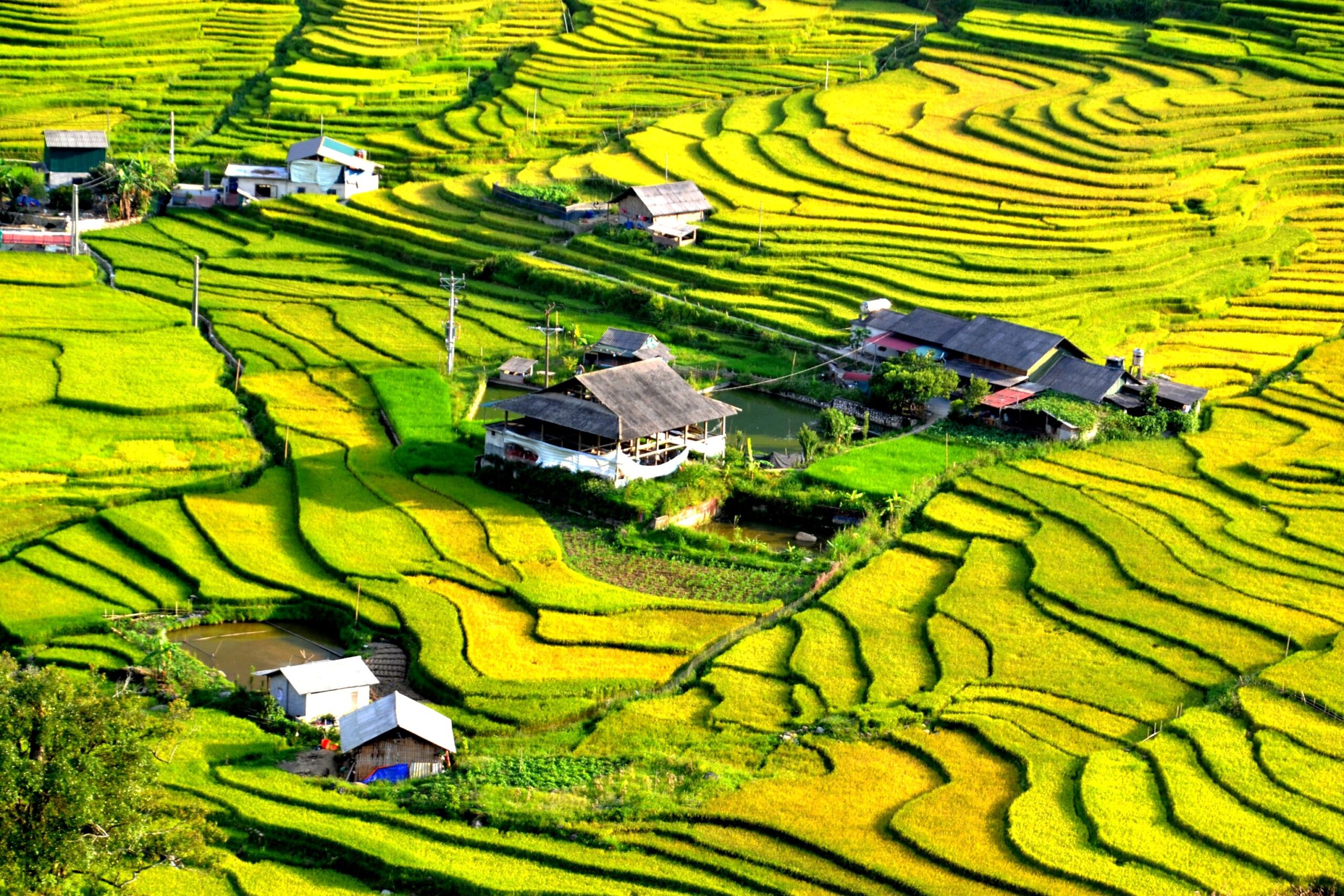 Sapa: Trekking Through the Rice Terraces of Northern Vietnam
