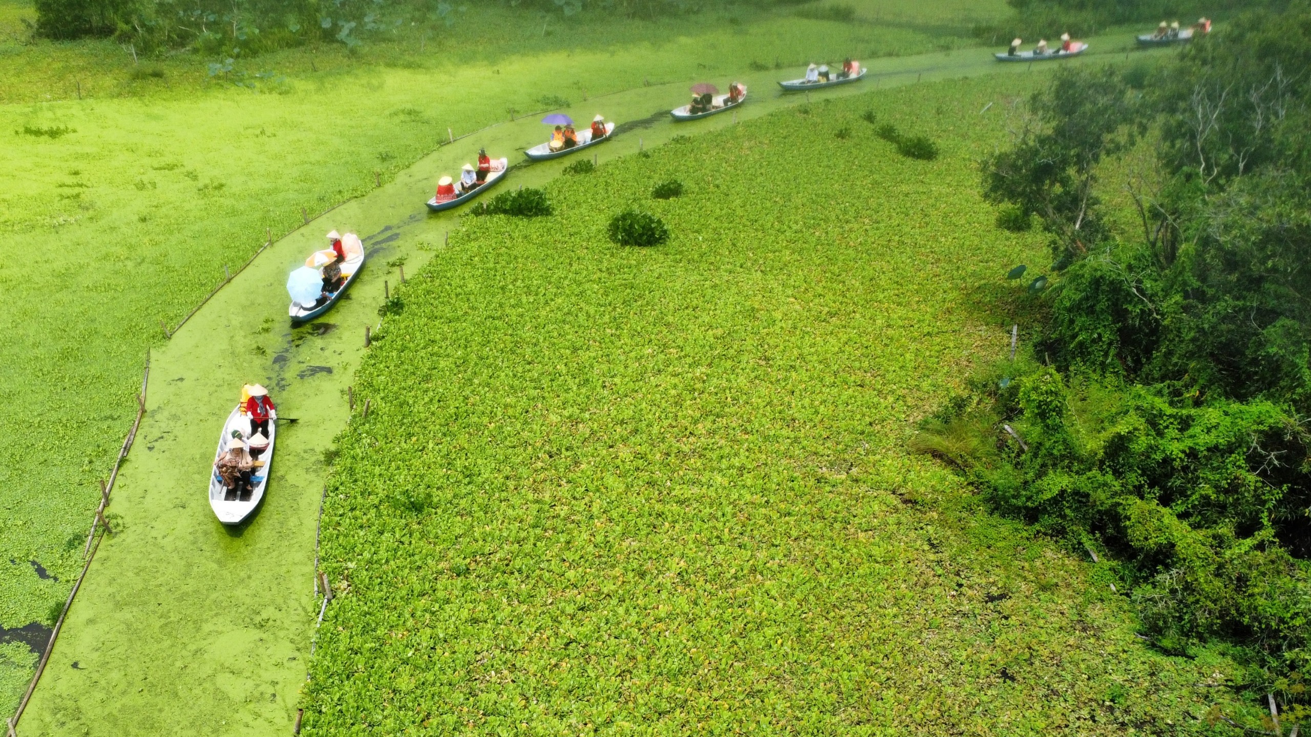 The Mekong Delta: A Guide to Vietnam’s River of Life